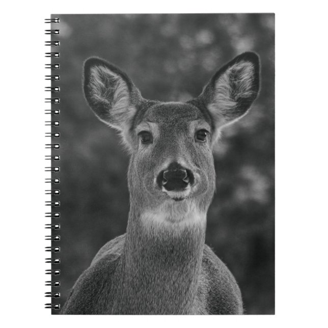 Cuaderno Cara De Cerveza Negra Y Blanca (Frente)