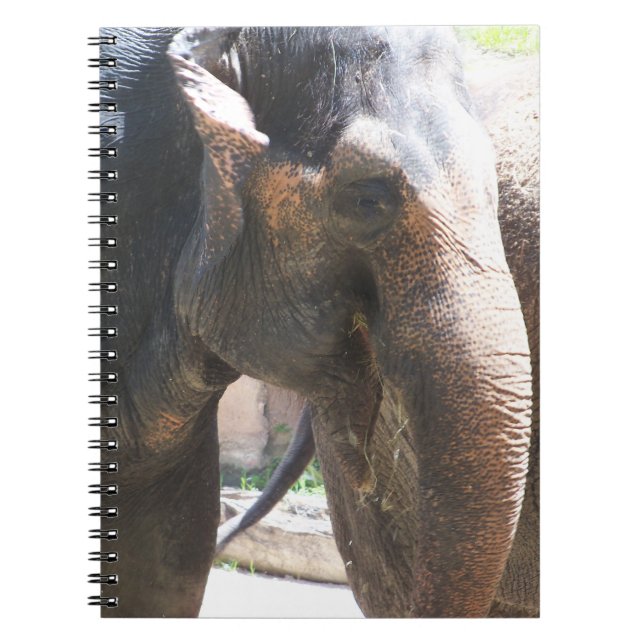 Cuaderno Cara de elefante (Frente)