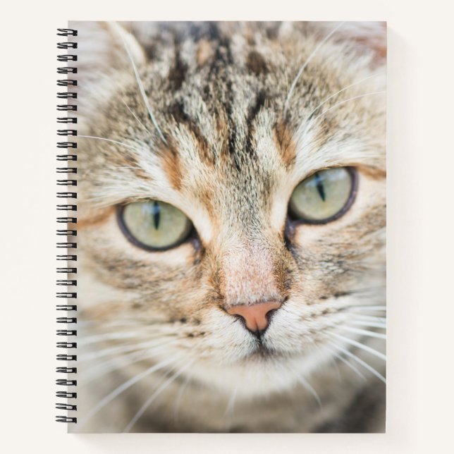 Cuaderno Cara de gato (Anverso)