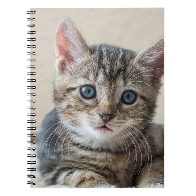 Cuaderno Cara de gato suave (Frente)