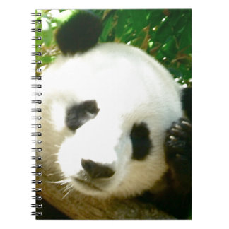 Cuaderno Cara de la panda