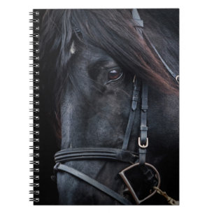 Cuaderno Cara de Stallion negro con puente