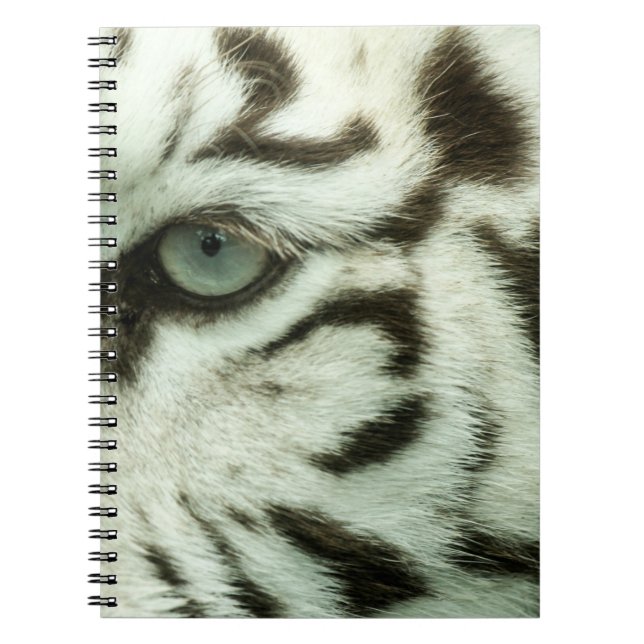 CUADERNO CARA DE TIGRE BLANCO (Frente)