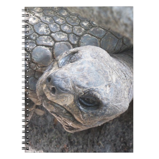 Cuaderno Cara de tortoise (Frente)