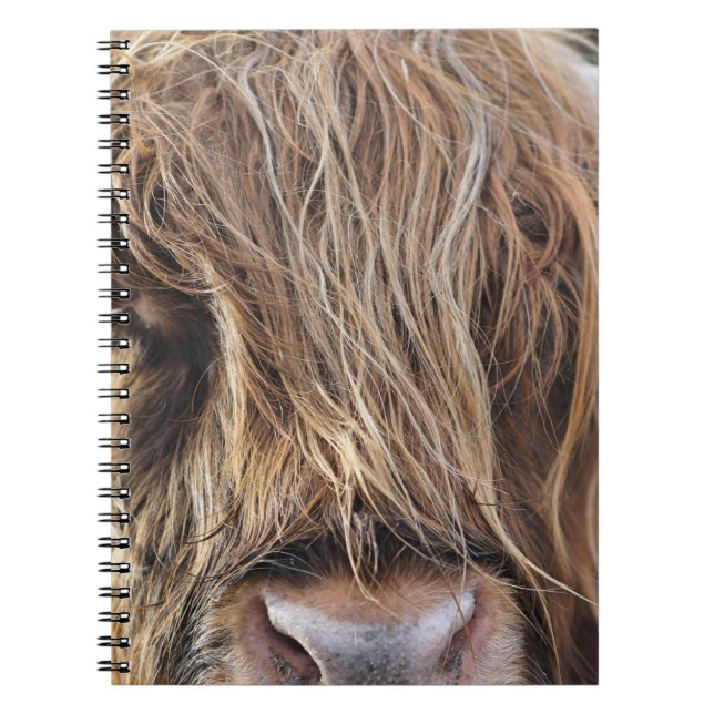 CUADERNO CARA DE VACA DE HIGHLAND CATTLE (Frente)