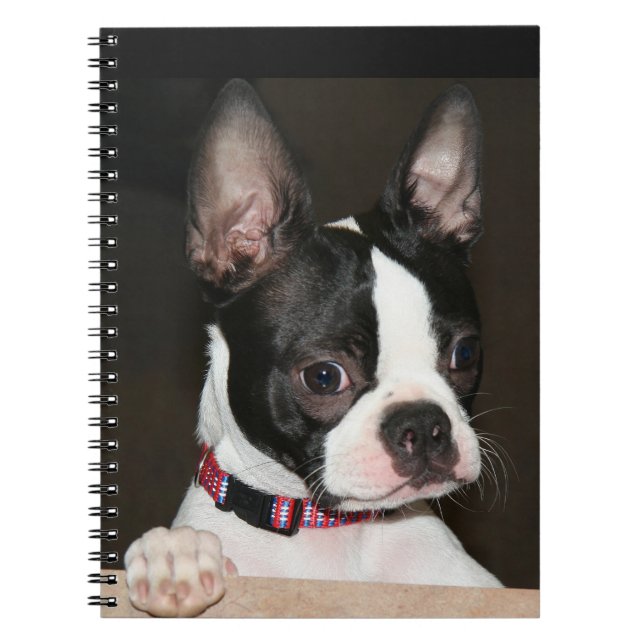 Cuaderno Cara del Boston Terrier (Frente)