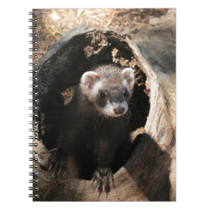 Cuaderno Cara del hurón