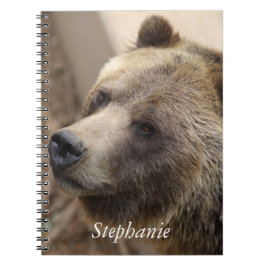 Cuaderno Cara del oso cortado