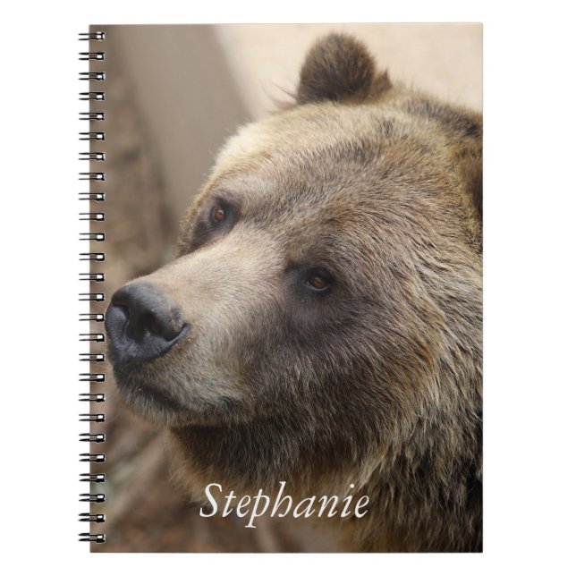 Cuaderno Cara del oso cortado (Frente)