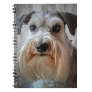 Cuaderno Cara del perro Schnauzer