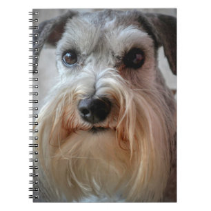 Cuaderno Cara del perro Schnauzer