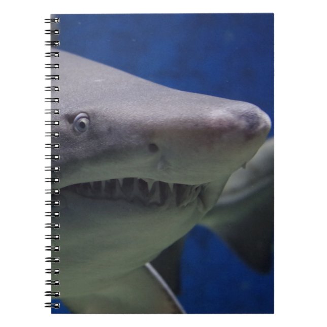 Cuaderno Cara del tiburón (Frente)