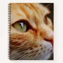 Cuaderno Cara determinada de un gato jengibre