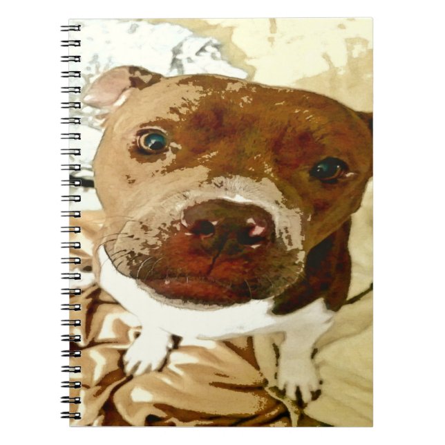 Cuaderno Cara dulce de guijarros (Frente)