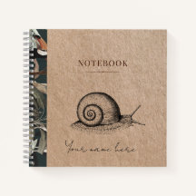 Caracol 2