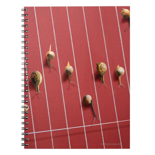 Cuaderno Caracoles corriendo sobre el camión (Frente)