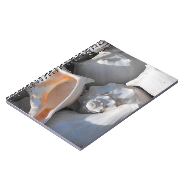 Cuaderno Caracoles de Concha Vista Cercana (Lado Izquierdo)