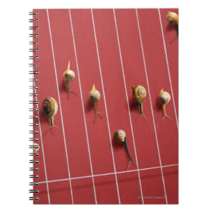 Cuaderno Caracoles que corren en el camión