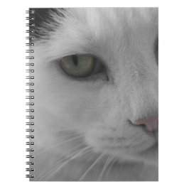 Cuaderno Caras de gatos blancos y negros