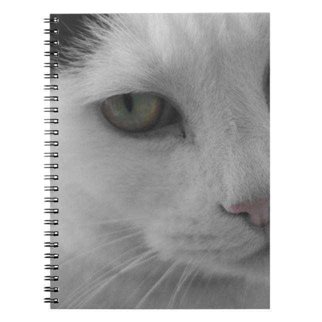 Cuaderno Caras de gatos blancos y negros (Frente)