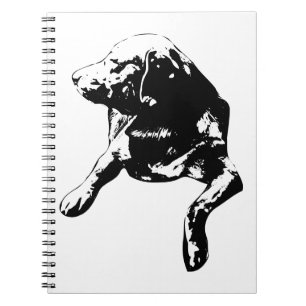 Cuaderno Card-Stack Companion, notas de laboratorio