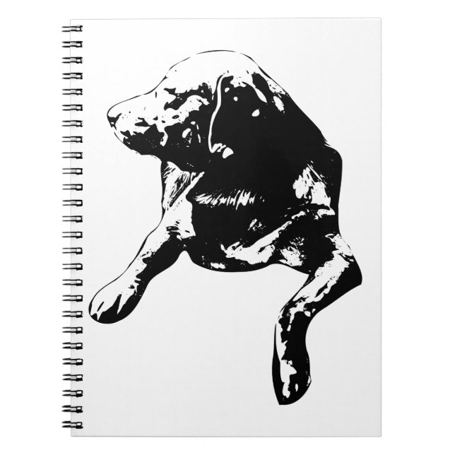 Cuaderno Card-Stack Companion, notas de laboratorio (Frente)