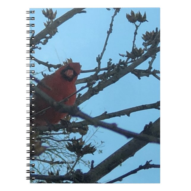 Cuaderno Cardenal (Frente)