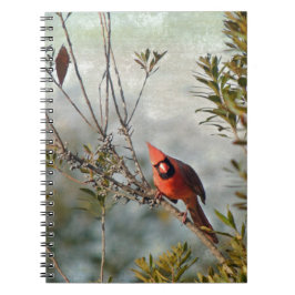 Cuaderno Cardenal del Norte en Wax Myrtle