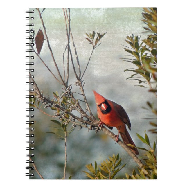 Cuaderno Cardenal del Norte en Wax Myrtle (Frente)