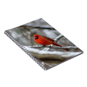 Cuaderno Cardenal masculino