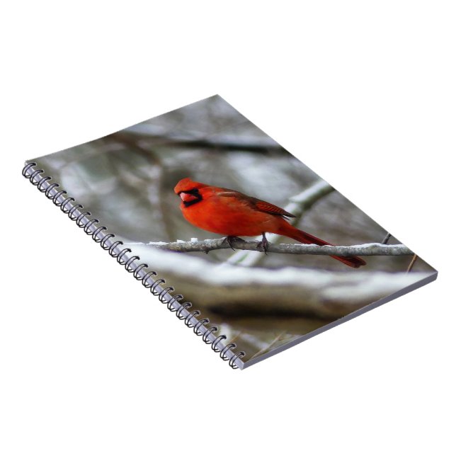 Cuaderno Cardenal masculino (Lado Derecho)