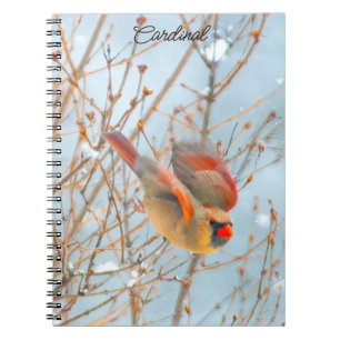 Cuaderno Cardenal norte volando - Fotografía original