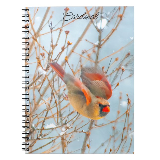 Cuaderno Cardenal norte volando - Fotografía original (Frente)