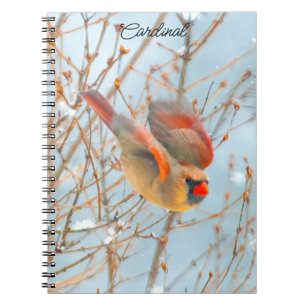 Cuaderno Cardenal norte volando - Fotografía original