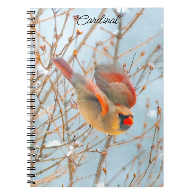 Cuaderno Cardenal norte volando - Fotografía original (Frente)