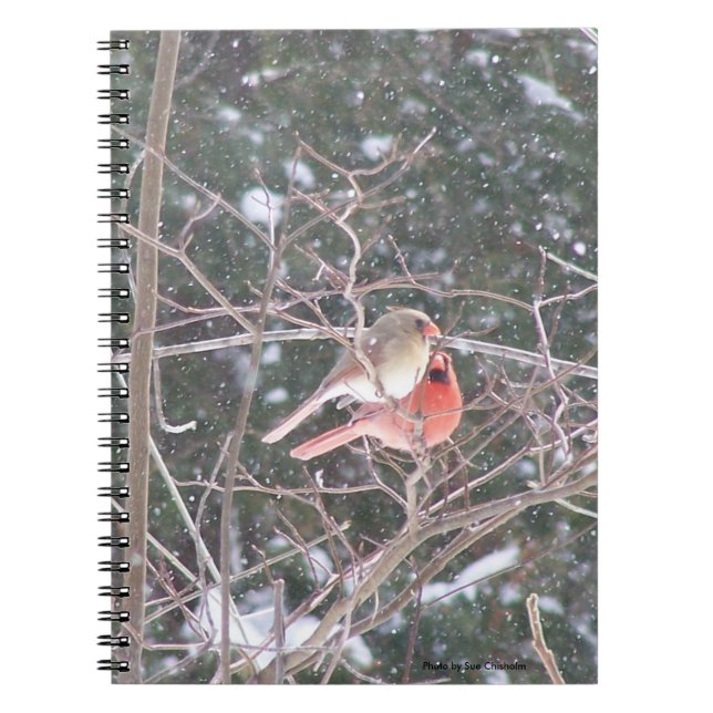 Cuaderno Cardenal rojo Bird (Frente)