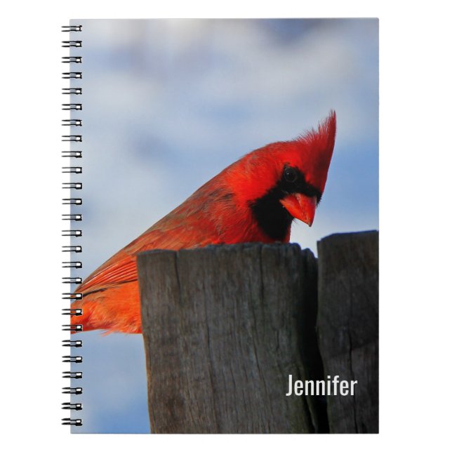 Cuaderno Cardenal rojo sobre trompa de madera personalizada (Frente)