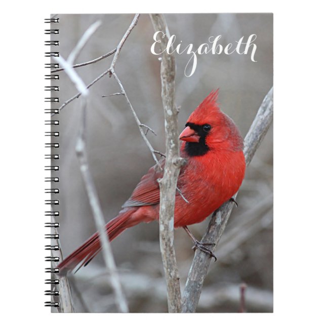 Cuaderno Cardenal septentrional (Frente)