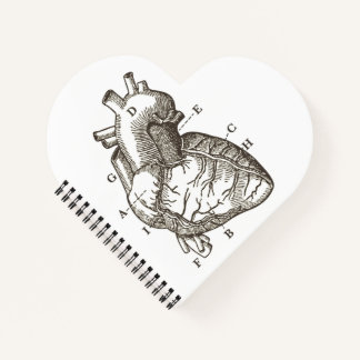 Cuaderno Cardilla de dibujo del corazón anatómico vintage