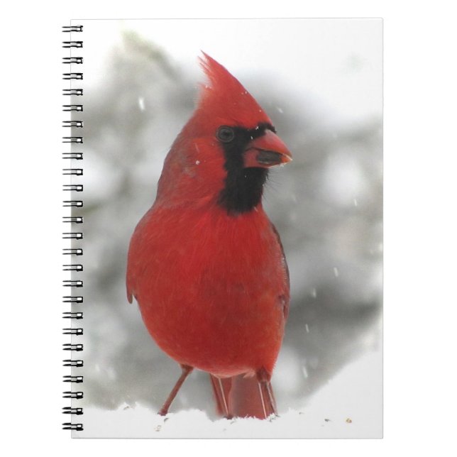 Cuaderno Cardinal (Frente)