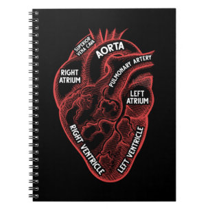 Cuaderno Cardiología de la educación de anatomía cardía