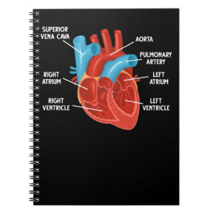 Cuaderno Cardiología de la educación de anatomía cardía