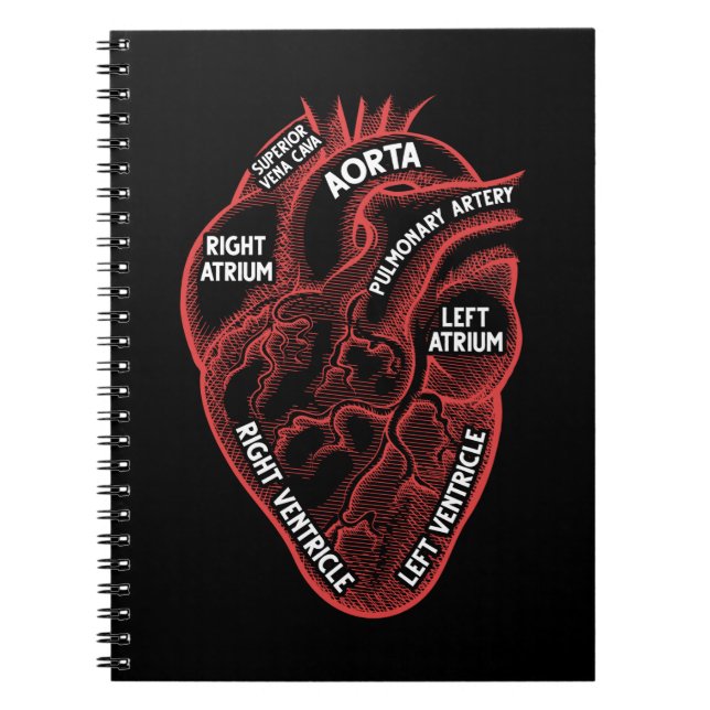 Cuaderno Cardiología de la educación de anatomía cardiaca (Frente)