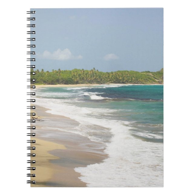 Cuaderno Caribe, GRANADA, Costa Este, Bahía de Granada, (Frente)