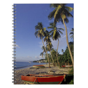Cuaderno CARIBE, Granada, St. George, Barcos en palmera