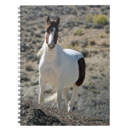 Cuaderno Carlitos de la cuenca del lavado de arena