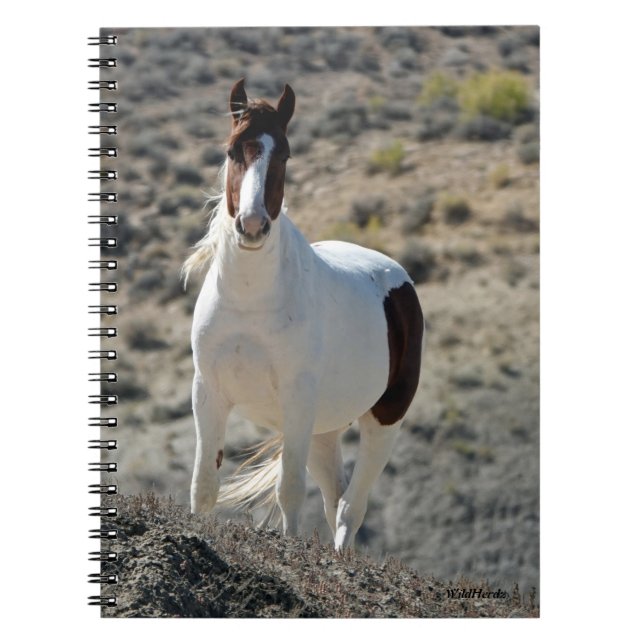 Cuaderno Carlitos de la cuenca del lavado de arena (Frente)