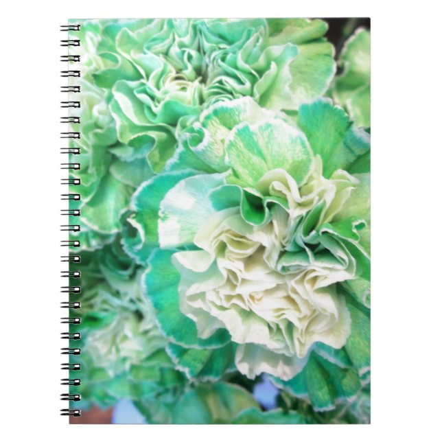 Cuaderno Carnación verde (Frente)