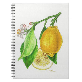 Cuaderno Carnet à spirales Citron “Limonier ferraris”