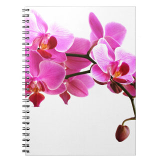 Cuaderno Carnet Orchidée